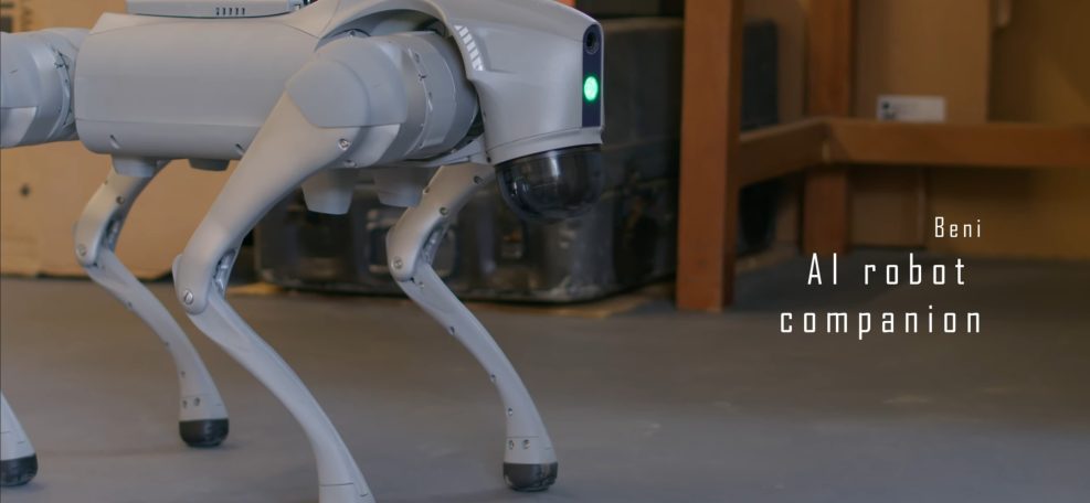 Concious creatures project